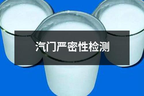 汽門嚴密性檢測
