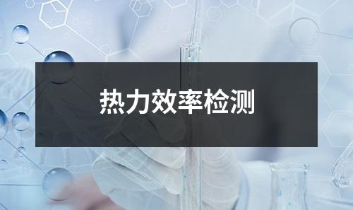 熱力效率檢測(cè)