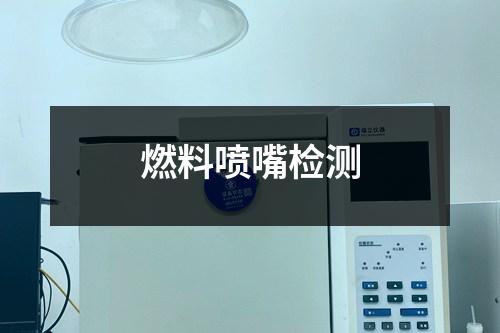 燃料噴嘴檢測