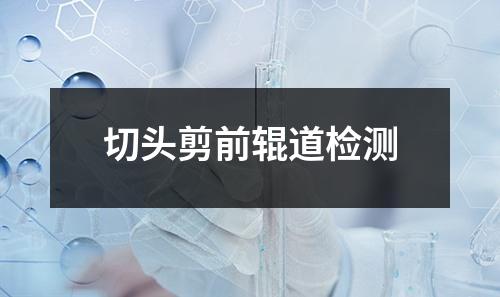 切頭剪前輥道檢測