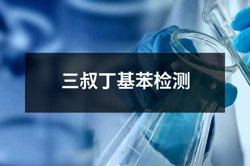 三叔丁基苯檢測