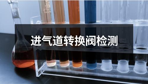 進(jìn)氣道轉(zhuǎn)換閥檢測