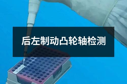 后左制動凸輪軸檢測