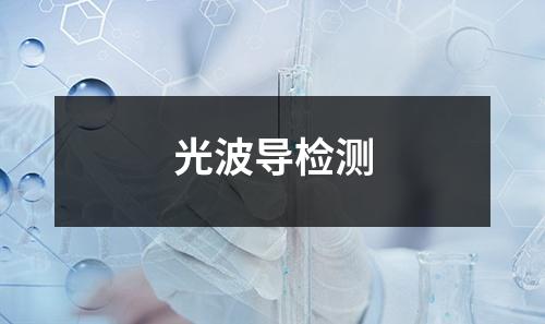 光波導(dǎo)檢測(cè)
