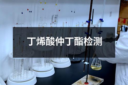 丁烯酸仲丁酯檢測