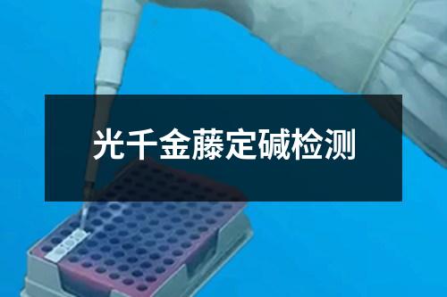 光千金藤定堿檢測(cè)