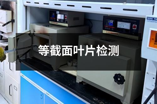 等截面葉片檢測(cè)