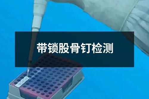帶鎖股骨釘檢測
