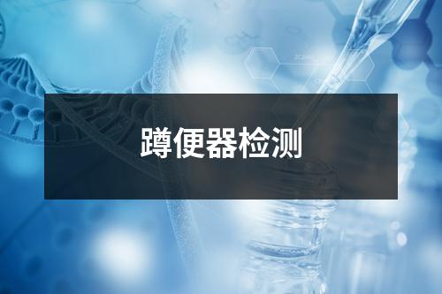 蹲便器檢測(cè)