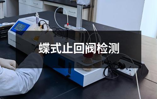 蝶式止回閥檢測