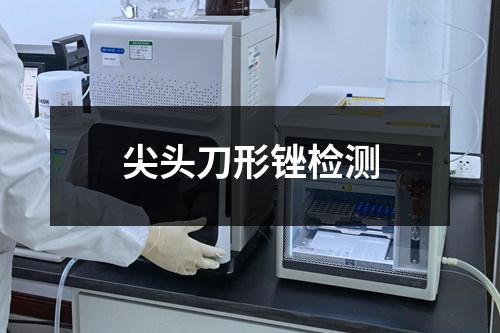 尖頭刀形銼檢測