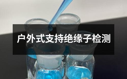 戶外式支持絕緣子檢測