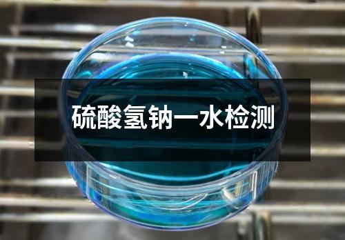 硫酸氫鈉一水檢測