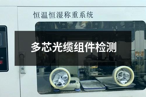 多芯光纜組件檢測