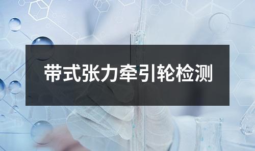 帶式張力牽引輪檢測(cè)