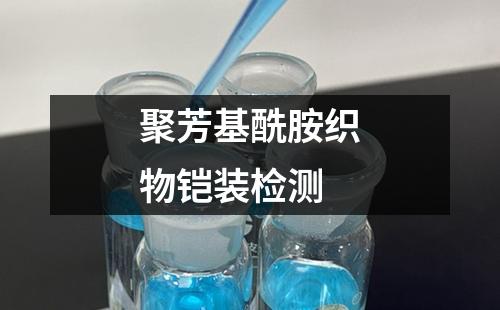 聚芳基酰胺織物鎧裝檢測(cè)
