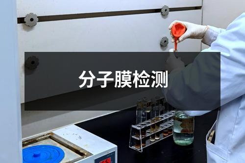 分子膜檢測