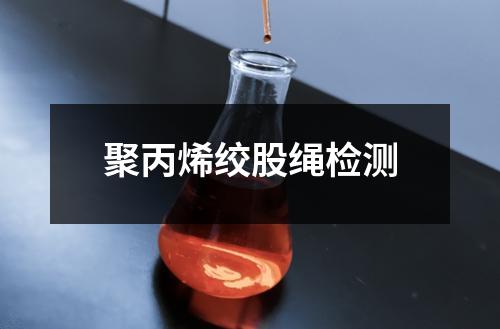 聚丙烯絞股繩檢測