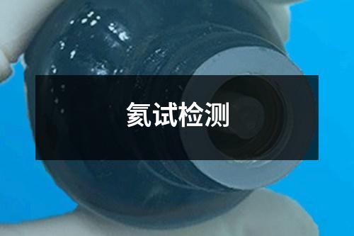 氦試檢測(cè)