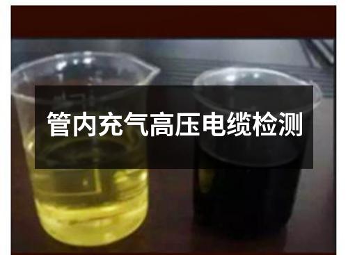 管內(nèi)充氣高壓電纜檢測(cè)