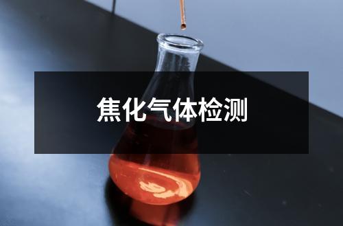 焦化氣體檢測(cè)