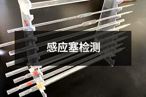 感應(yīng)塞檢測(cè)