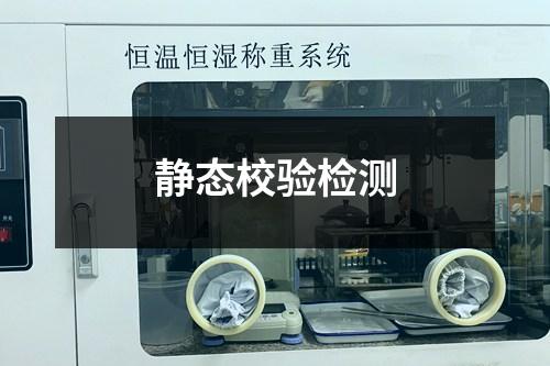 靜態(tài)校驗檢測