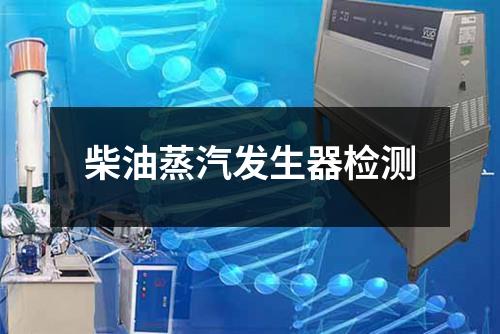 柴油蒸汽發(fā)生器檢測(cè)