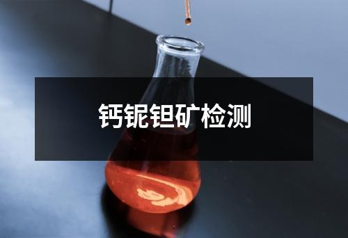 鈣鈮鉭礦檢測(cè)