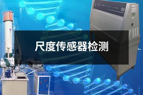 尺度傳感器檢測