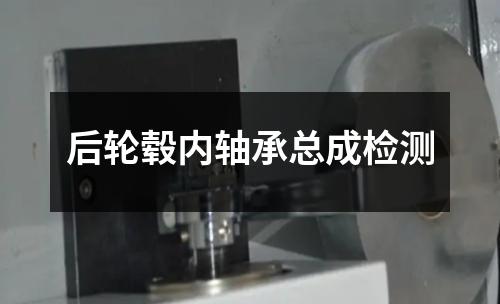 后輪轂內(nèi)軸承總成檢測
