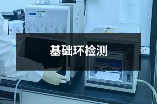 基礎(chǔ)環(huán)檢測(cè)
