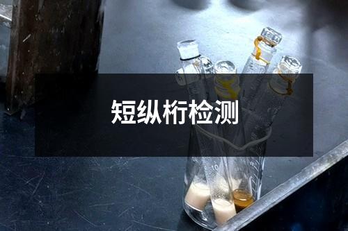 短縱桁檢測