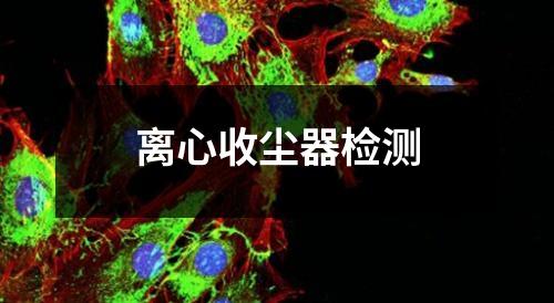 離心收塵器檢測(cè)