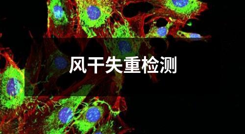 風(fēng)干失重檢測