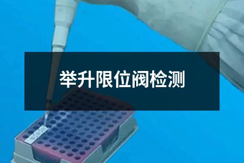 舉升限位閥檢測
