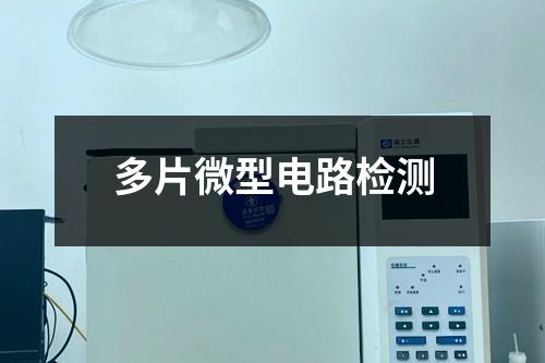 多片微型電路檢測