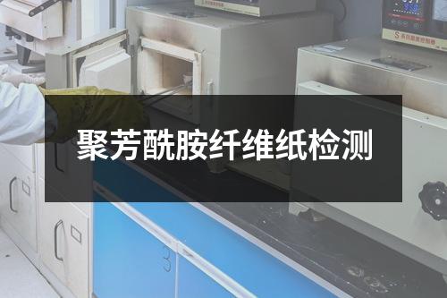 聚芳酰胺纖維紙檢測