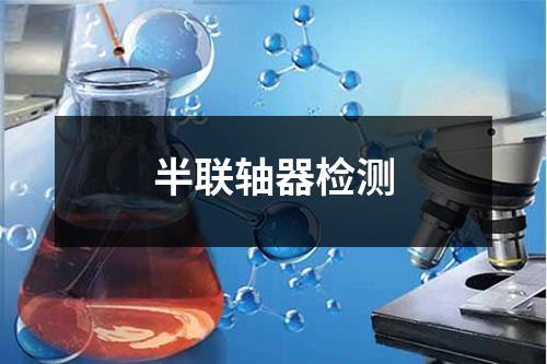 半聯(lián)軸器檢測