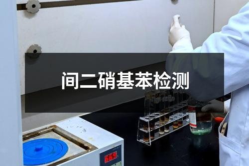 間二硝基苯檢測(cè)