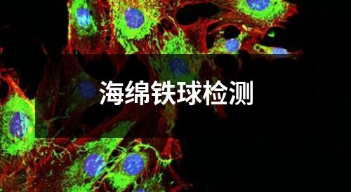 海綿鐵球檢測