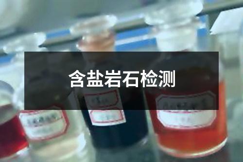 含鹽巖石檢測(cè)