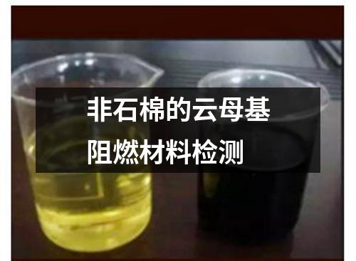 非石棉的云母基阻燃材料檢測(cè)
