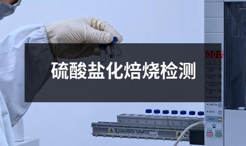 硫酸鹽化焙燒檢測