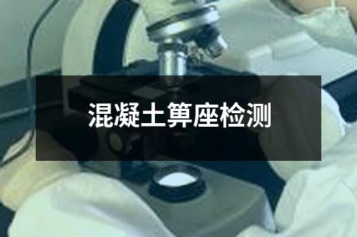 混凝土箅座檢測