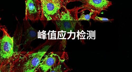 峰值應(yīng)力檢測