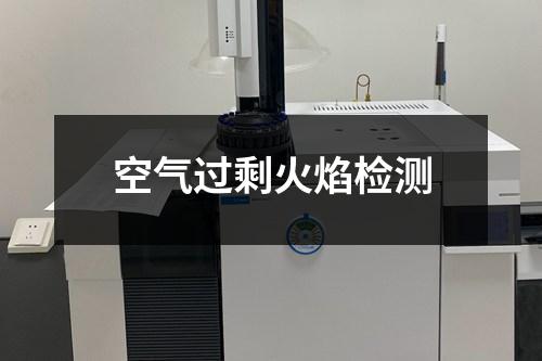 空氣過?；鹧鏅z測(cè)
