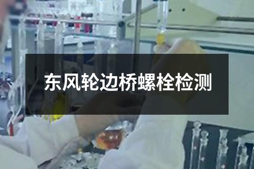 東風輪邊橋螺栓檢測