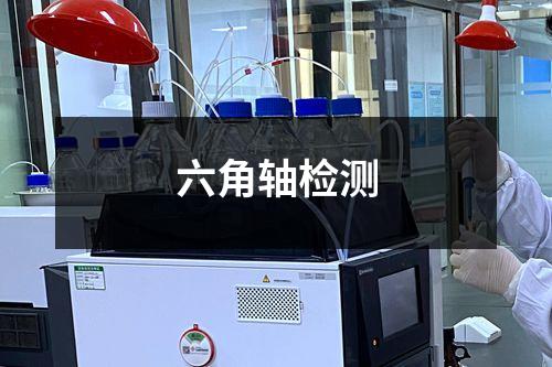 六角軸檢測(cè)