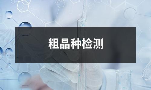 粗晶種檢測(cè)